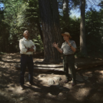 Watch Yosemite Tour With Obama In Virtual Reality