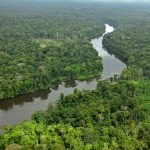 Enjoy the Great Amazon Rainforest in VR