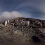 Charity Launch 3D-360 Film to Save Penguins