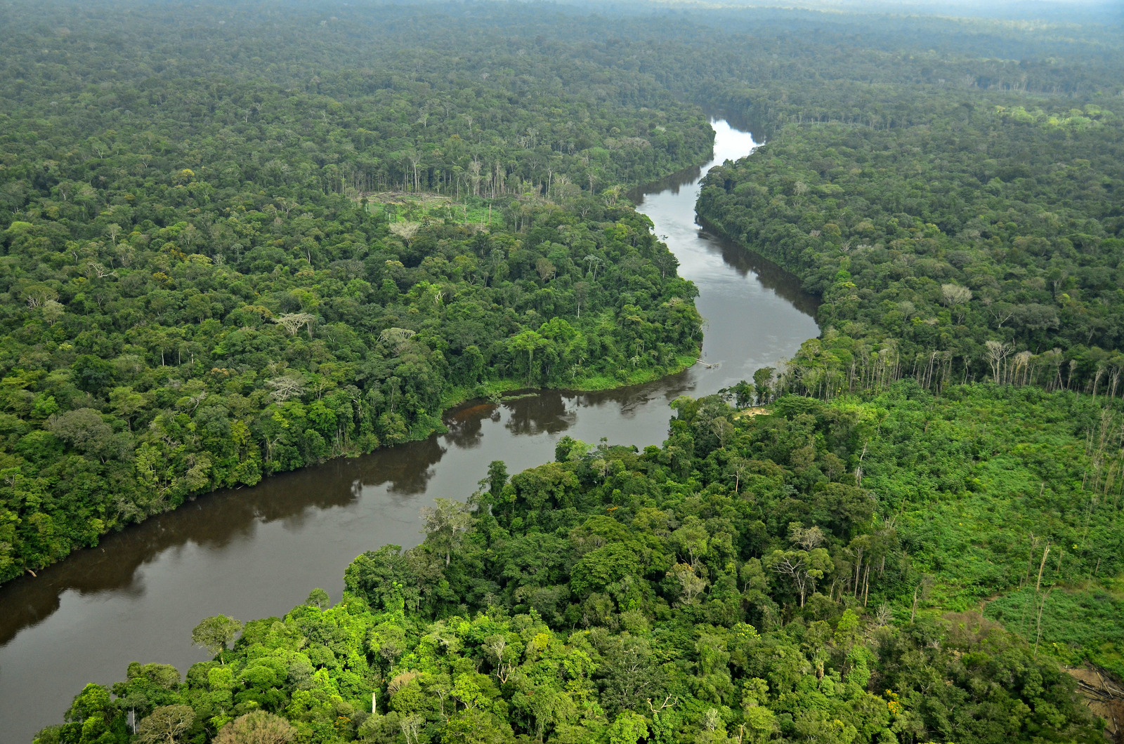 Enjoy The Great Amazon Rainforest In VR Virtual Reality Times