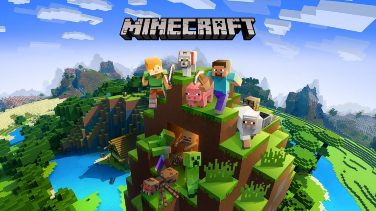 Minecraft Support