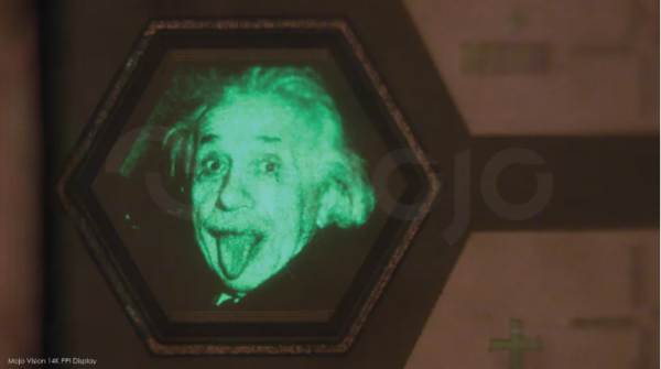 Image of Einstein seen in Mojo monochromatic display